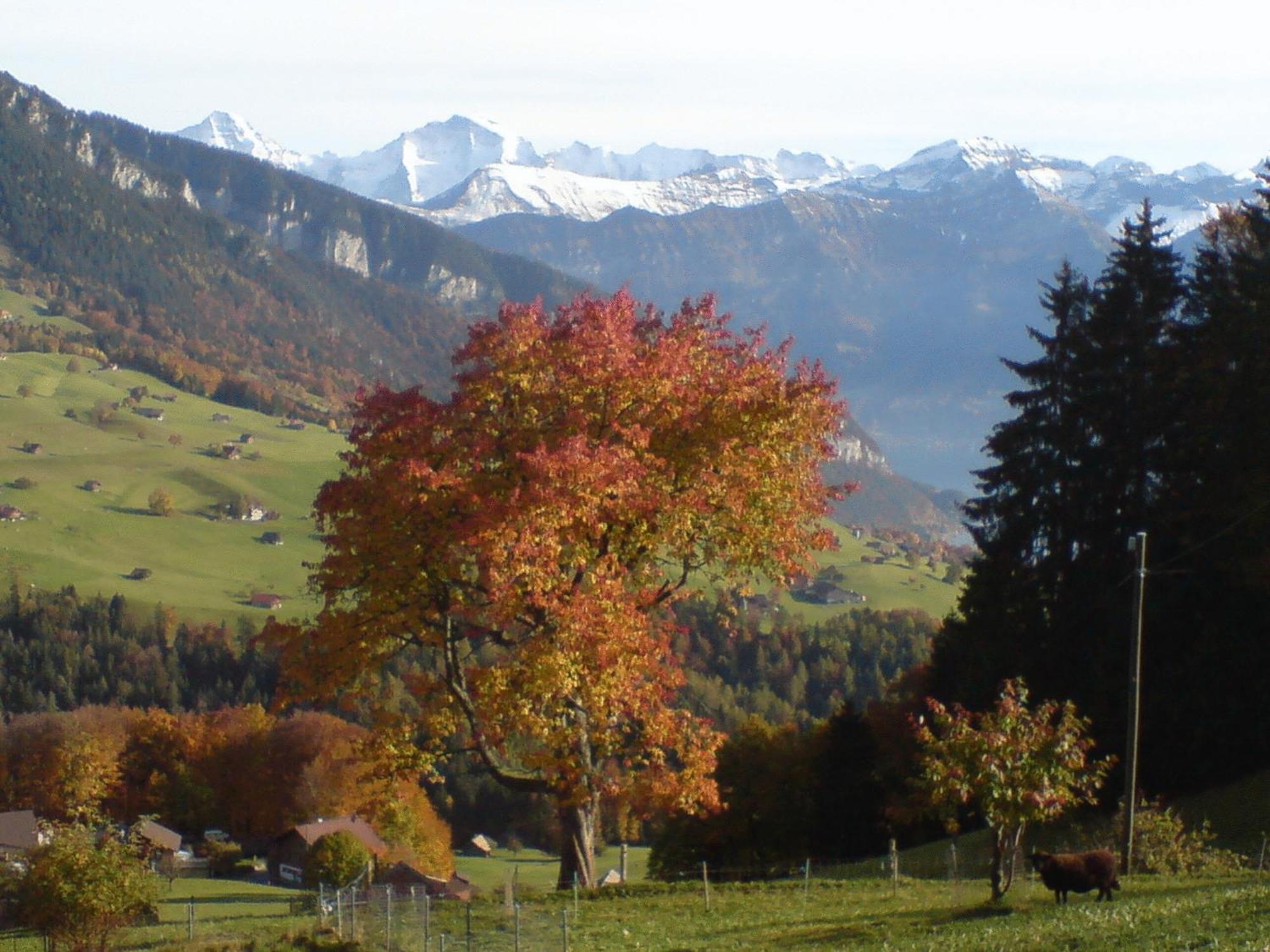 Hotel Rothorn Vintage-Style Sigriswil Exterior foto